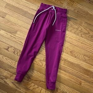NVGTN Berry Joggers